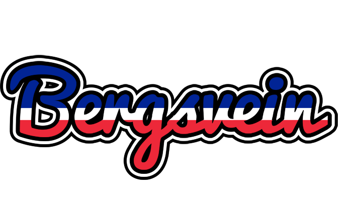 Bergsvein france logo