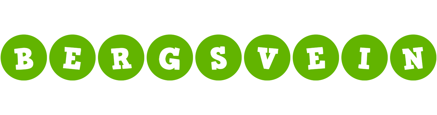 Bergsvein games logo