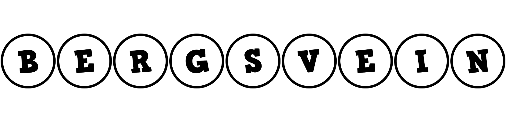 Bergsvein handy logo