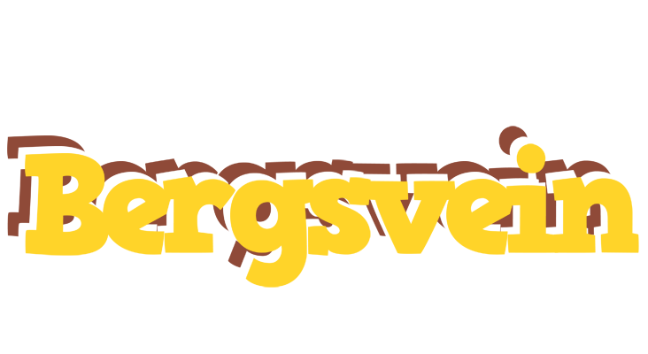 Bergsvein hotcup logo