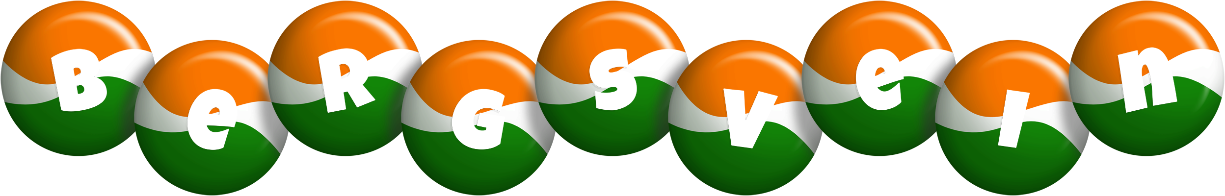 Bergsvein india logo