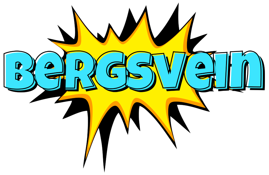 Bergsvein indycar logo