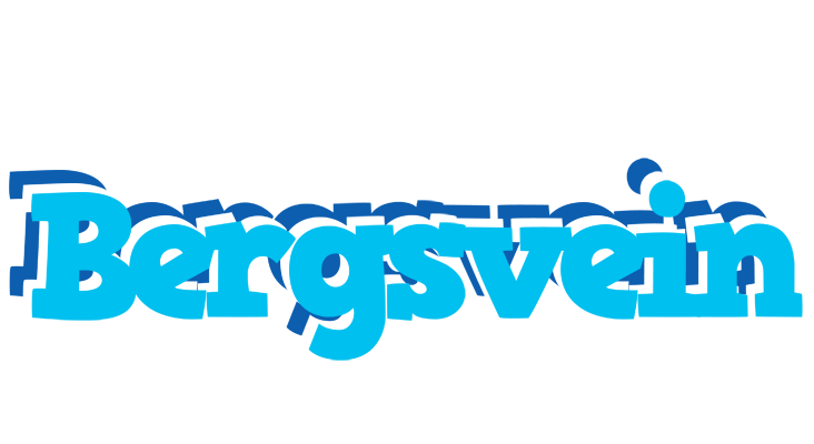 Bergsvein jacuzzi logo