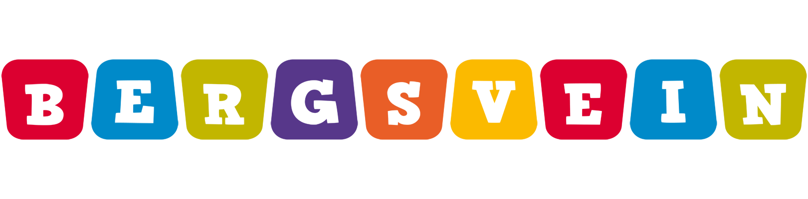 Bergsvein kiddo logo