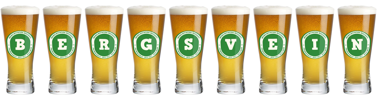 Bergsvein lager logo
