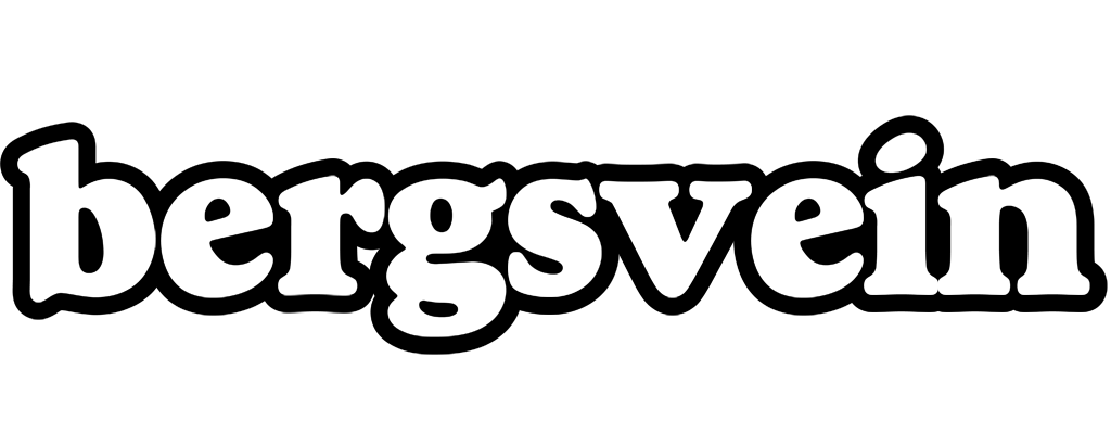 Bergsvein panda logo