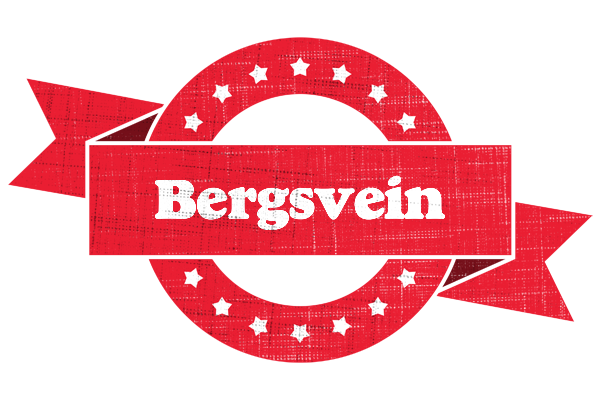 Bergsvein passion logo