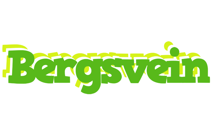 Bergsvein picnic logo