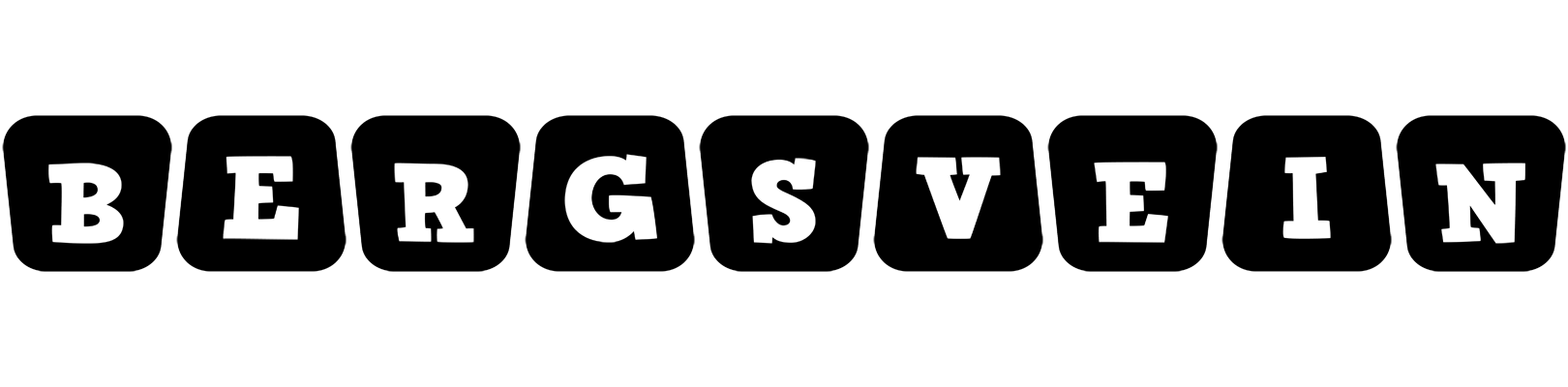 Bergsvein racing logo