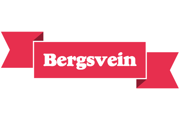 Bergsvein sale logo