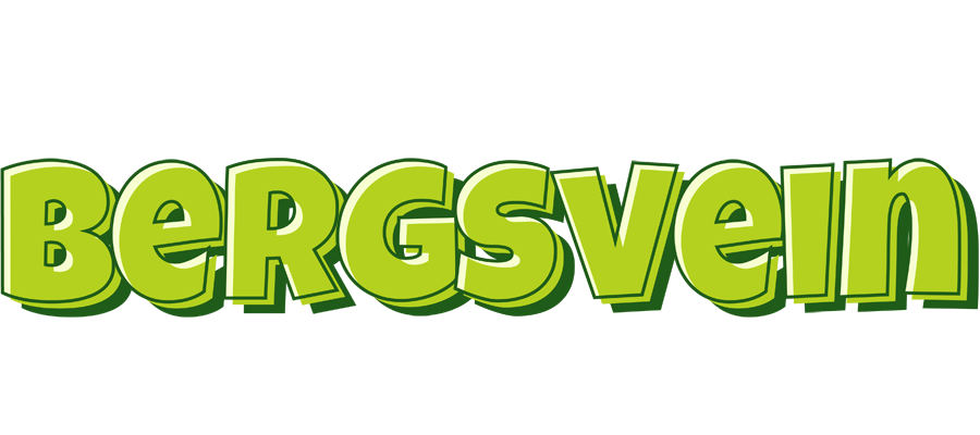 Bergsvein summer logo