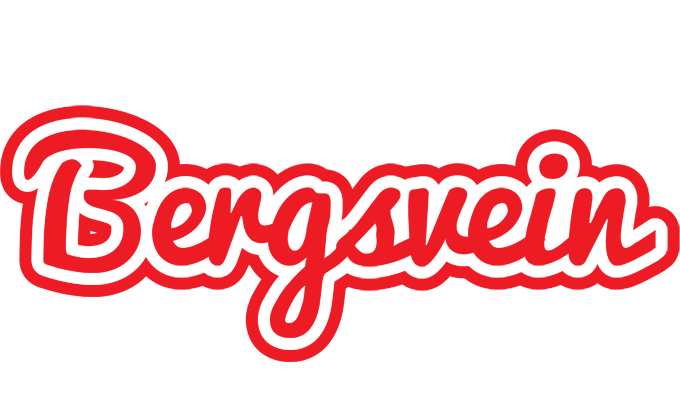 Bergsvein sunshine logo