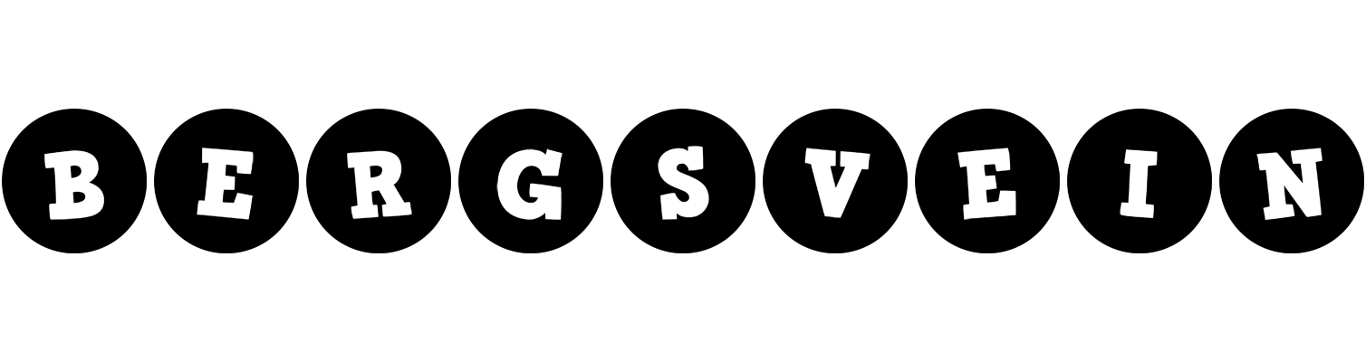 Bergsvein tools logo