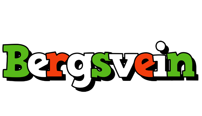 Bergsvein venezia logo