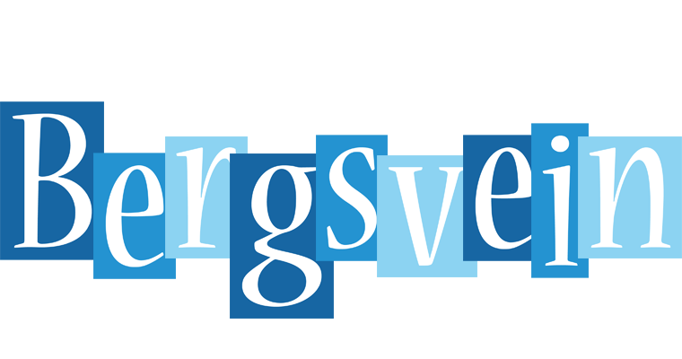 Bergsvein winter logo