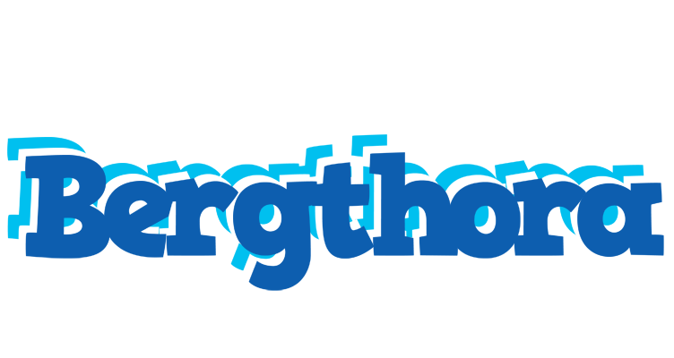 Bergthora business logo