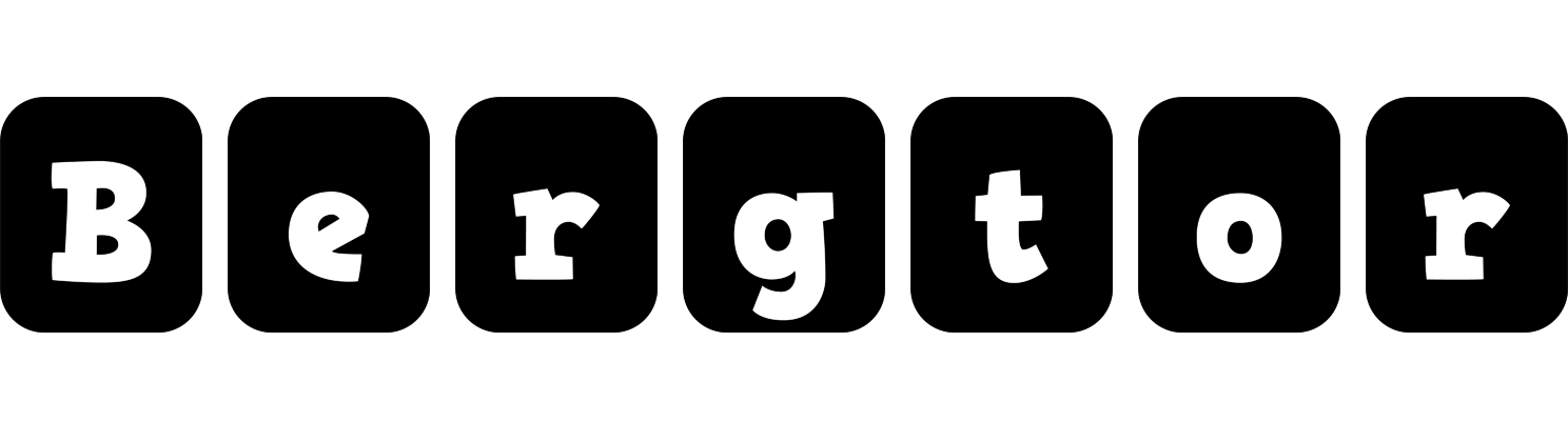 Bergtor box logo