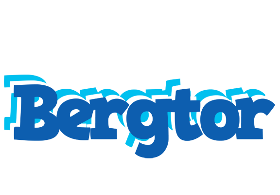 Bergtor business logo