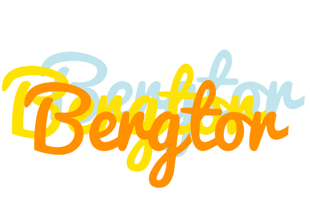 Bergtor energy logo
