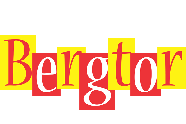 Bergtor errors logo