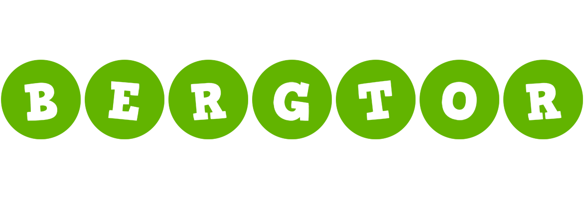 Bergtor games logo