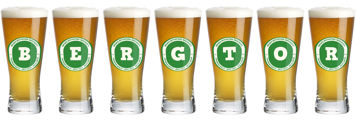Bergtor lager logo