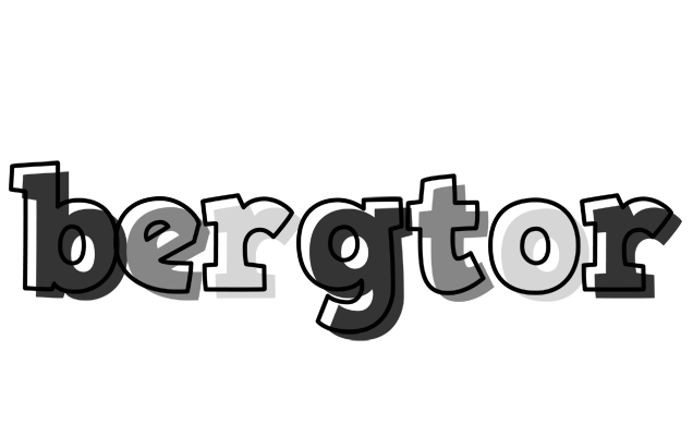 Bergtor night logo