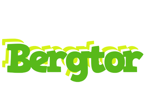 Bergtor picnic logo