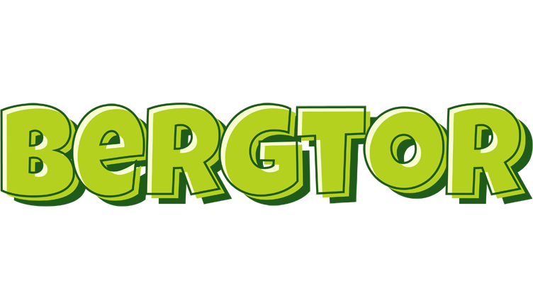 Bergtor summer logo