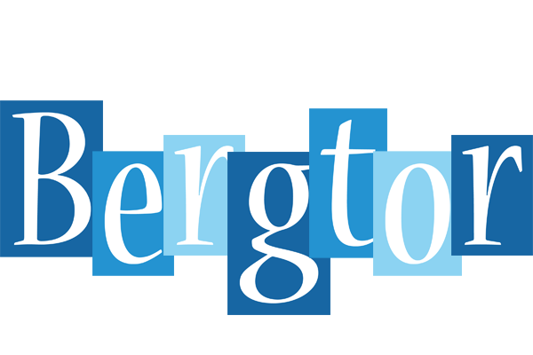 Bergtor winter logo