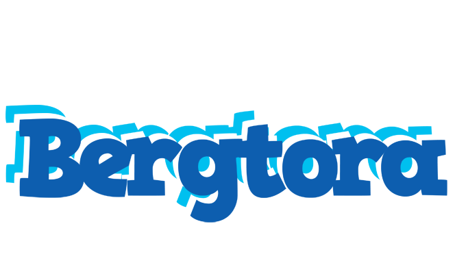 Bergtora business logo