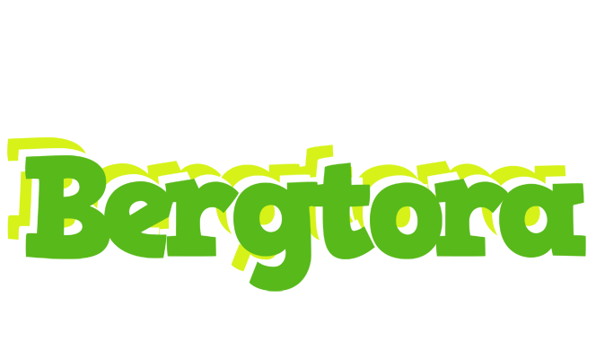 Bergtora picnic logo