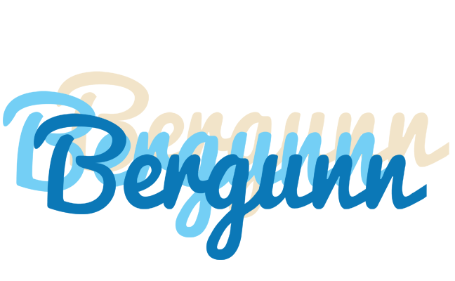 Bergunn breeze logo