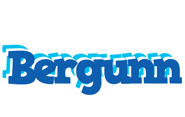 Bergunn business logo