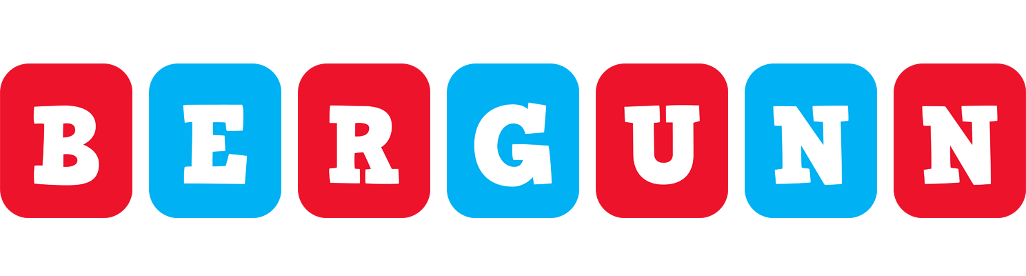 Bergunn diesel logo