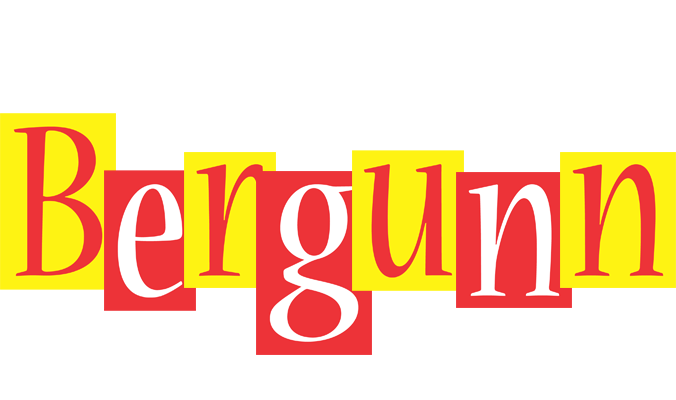 Bergunn errors logo