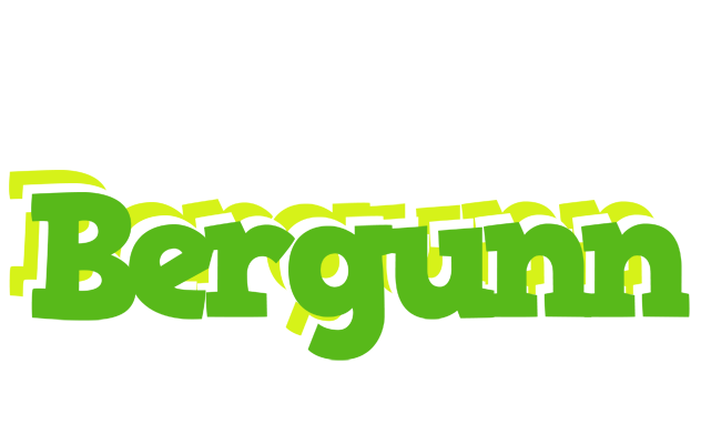 Bergunn picnic logo