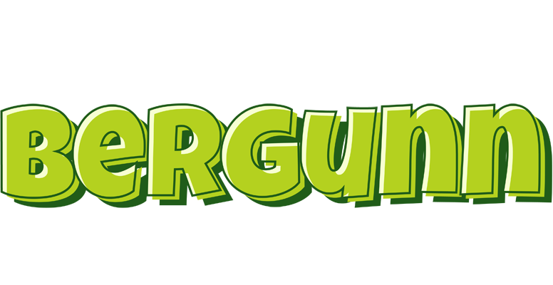 Bergunn summer logo