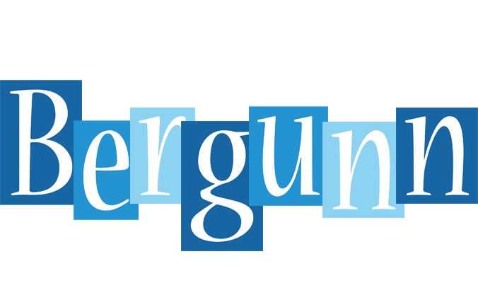 Bergunn winter logo