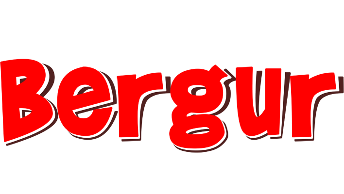 Bergur basket logo