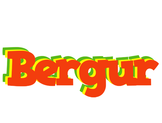 Bergur bbq logo