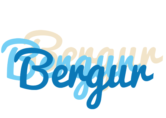 Bergur breeze logo
