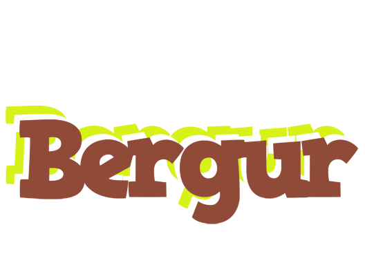 Bergur caffeebar logo