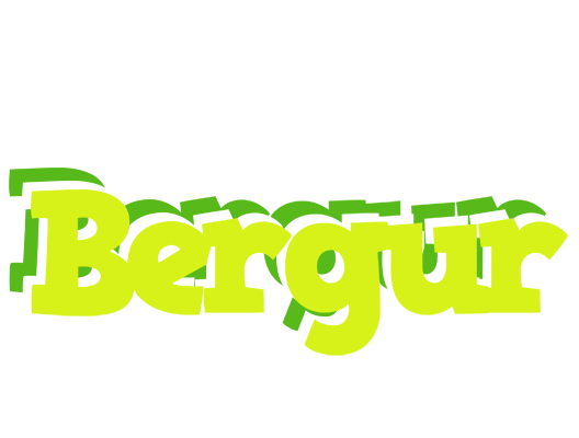 Bergur citrus logo