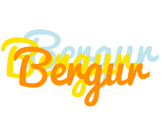 Bergur energy logo