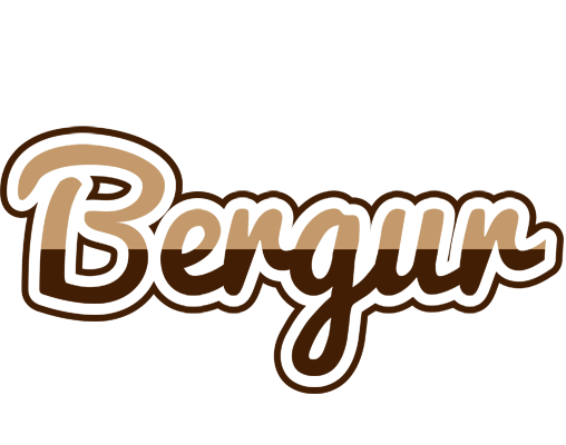 Bergur exclusive logo
