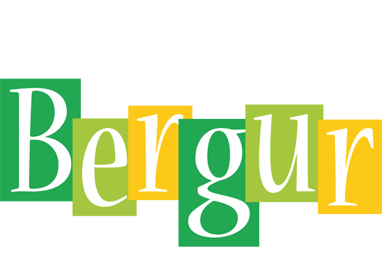 Bergur lemonade logo