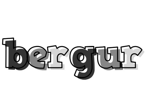 Bergur night logo