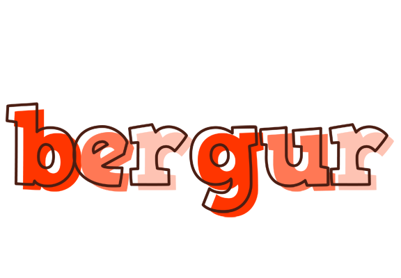 Bergur paint logo