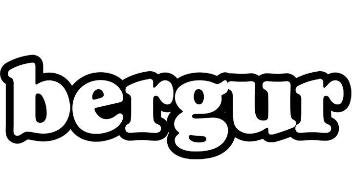 Bergur panda logo